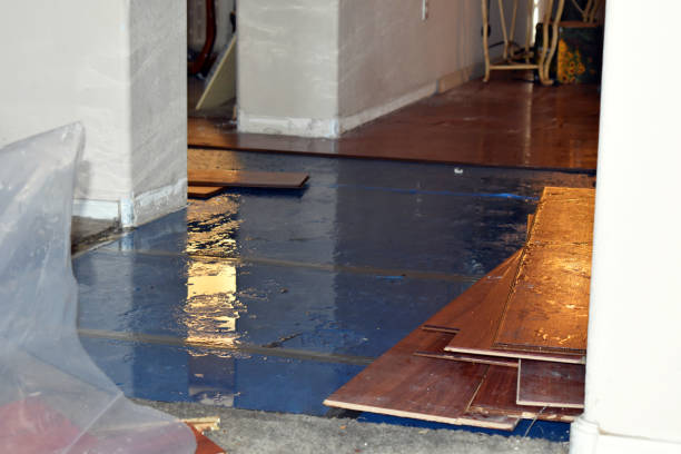 Professional Basement Flood Cleanup technician working in Newton Highlands, MA